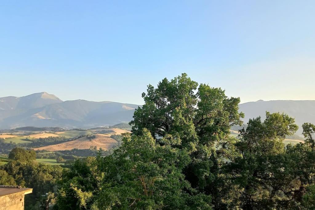 Pigno, Appartamento In Campagna Cagli Zewnętrze zdjęcie